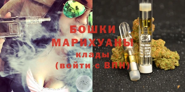 шишки Вязники