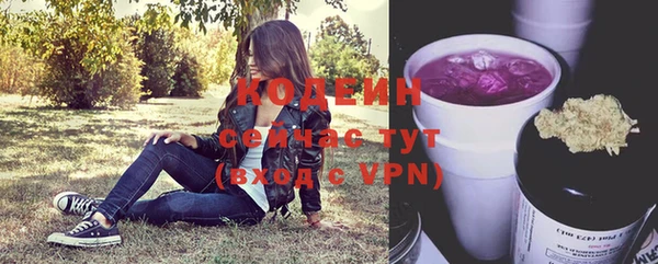 таблы Вяземский