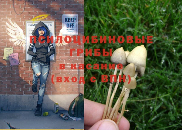 круглые Вязьма