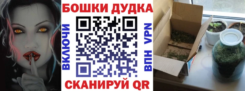 МАРИХУАНА планчик Духовщина